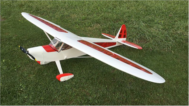 RASCAL 110 015